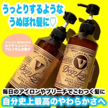 ディープレイヤー シャンプーExV/トリートメントExV 【プロフェッショナルユース】/DeepLayer/サロンシャンプーを使ったクチコミ(1枚目)