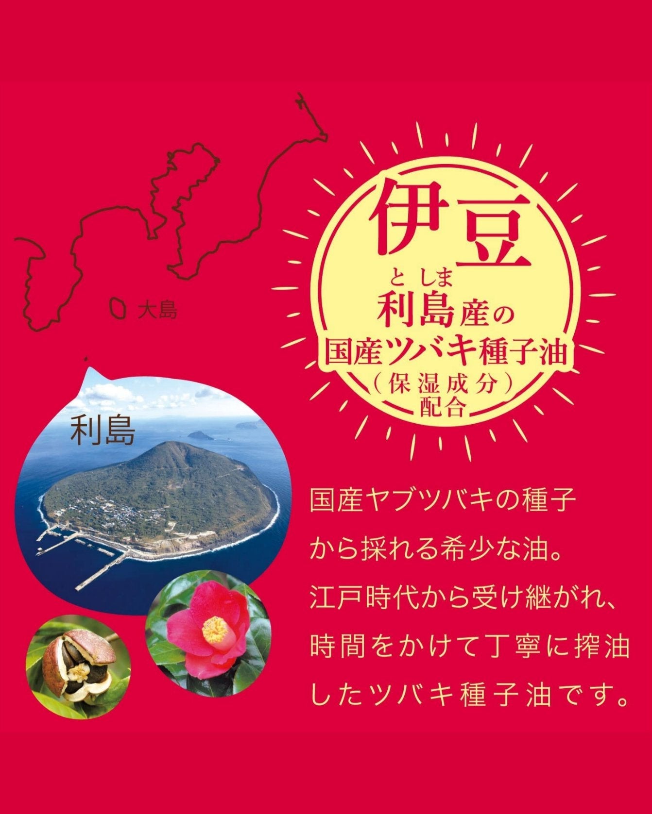 本島椿純椿油/本島椿/ヘアオイルを使ったクチコミ(10枚目)
