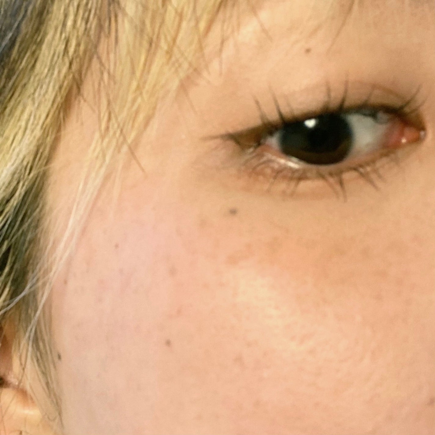 ã·ã«ããŒãªãããã¢ã€ã©ã€ããŒWP/D-UP/ãªãããã¢ã€ã©ã€ããŒã䜿ã£ãã¯ãã³ãïŒ4æç®ïŒ