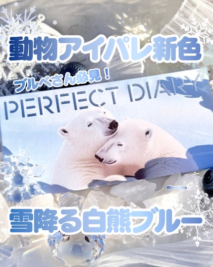 エクスプローラ12色 動物アイシャドウパレット/PERFECT DIARY/アイシャドウパレットを使ったクチコミ(1枚目)