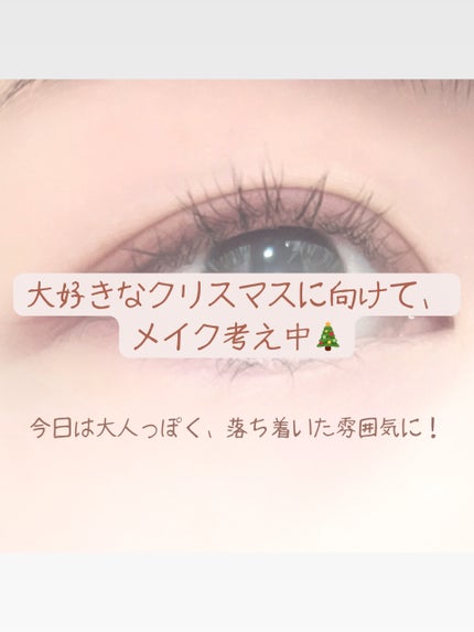 プティパレットアイズ(マットタイプ)/キャンメイク/パウダーアイシャドウを使ったクチコミ(2枚目)