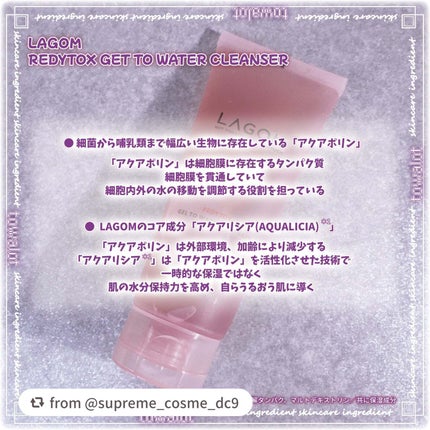 レディートックス ジェルトゥウォーター クレンザー(洗顔料)/LAGOM /洗顔フォームを使ったクチコミ(3枚目)