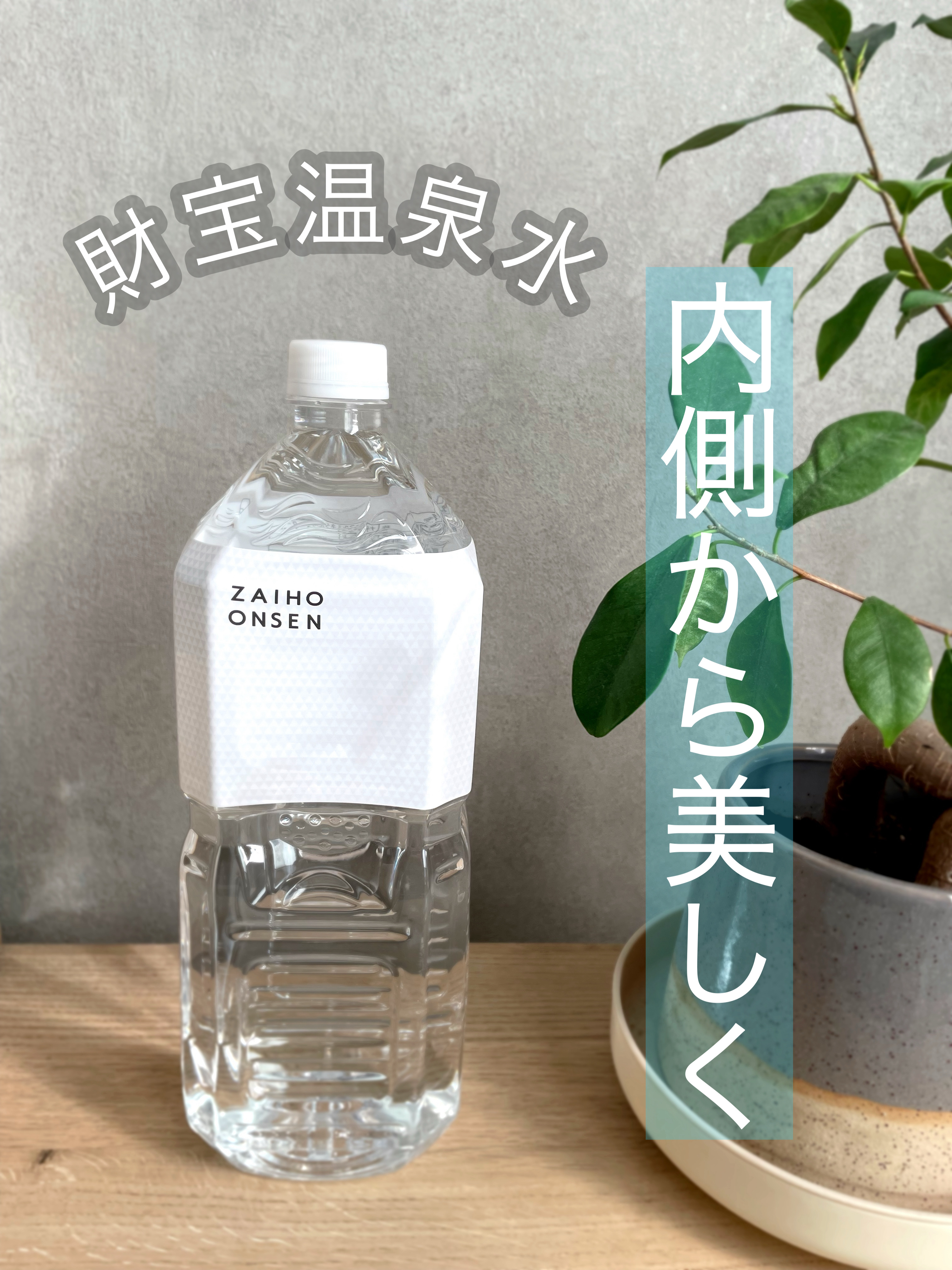 天然アルカリ温泉水 財宝/財宝/ミネラルウォーターを使ったクチコミ（1枚目）