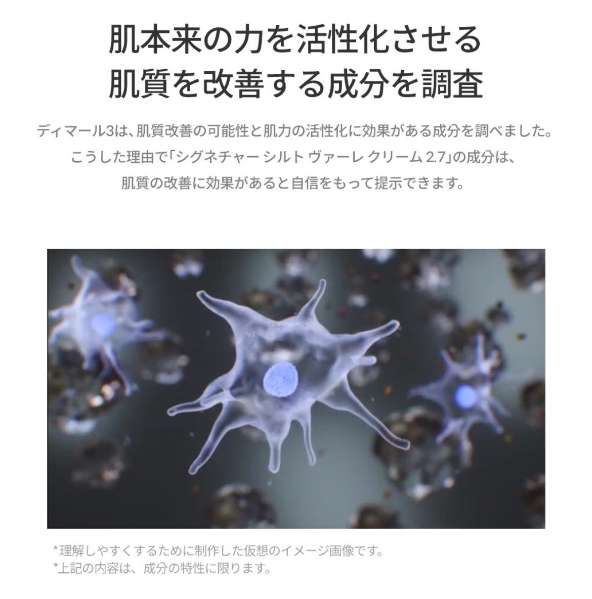 シグネチャーシルトベルクレム2.7/DEMAR3/フェイスクリームを使ったクチコミ(7枚目)