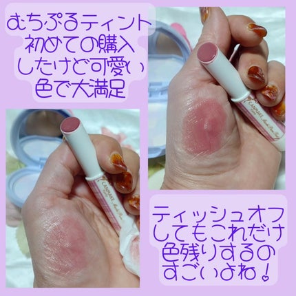 瞳子うさぎ@定期的に投稿ある方フォロバ on LIPS 「キャンメイクの40周年記念のパウダーが可愛すぎて、即買いした瞳..」(4枚目)