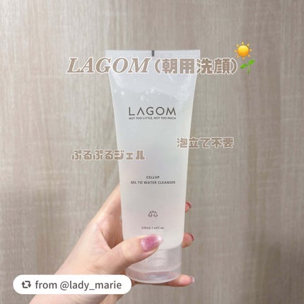 ジェルトゥウォーター クレンザー (MI)/LAGOM /その他洗顔料を使ったクチコミ(1枚目)