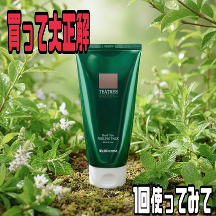 ティーツリーハーブピーリングパック/WellDerma/洗い流すパック・マスクを使ったクチコミ(1枚目)