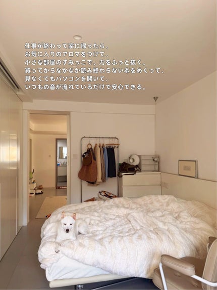 アネトス アクネケア トリートメント セラム/Anetos/美容液を使ったクチコミ(3枚目)