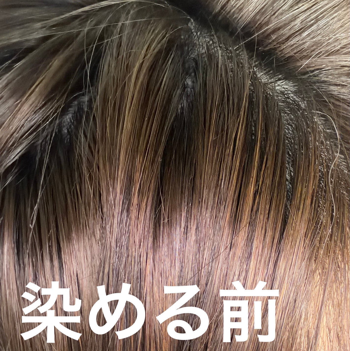 クリアリーカラー (白髪用) /クレオディーテ/ヘアカラーを使ったクチコミ(6枚目)