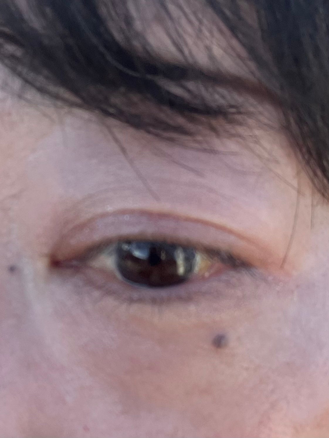 グランウィーユGINZAwithミラボーテ まつ毛キープマスカラ下地CL(クリア)/ミラボーテ/マスカラ下地を使ったクチコミ(8枚目)