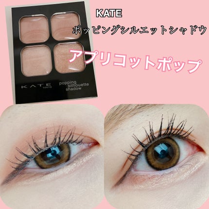 ケイト ポッピングシルエットシャドウ/KATE/アイシャドウパレットを使ったクチコミ(1枚目)