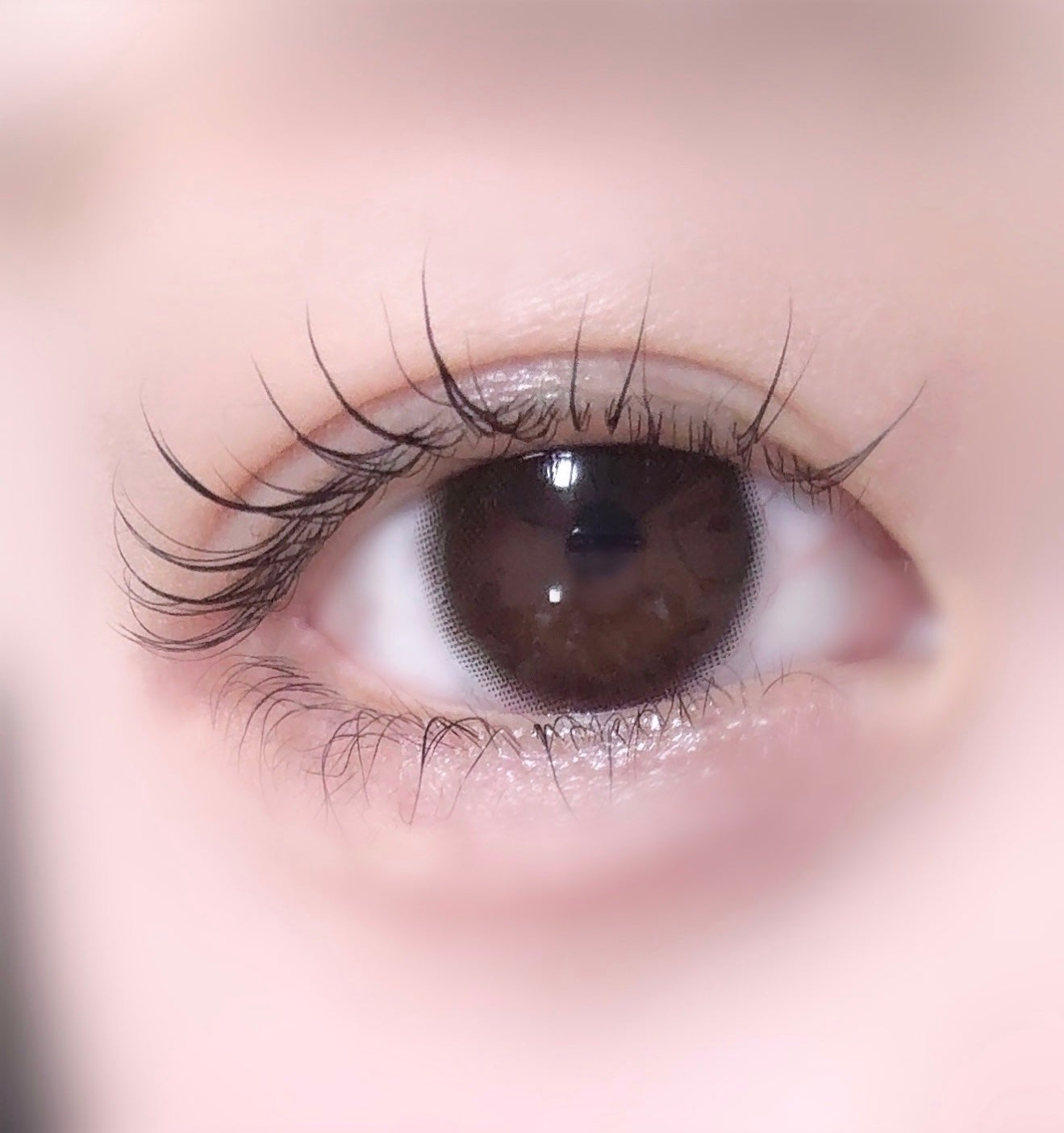 mimuco 1day/mimuco/ワンデー(1DAY)カラコンを使ったクチコミ(1枚目)