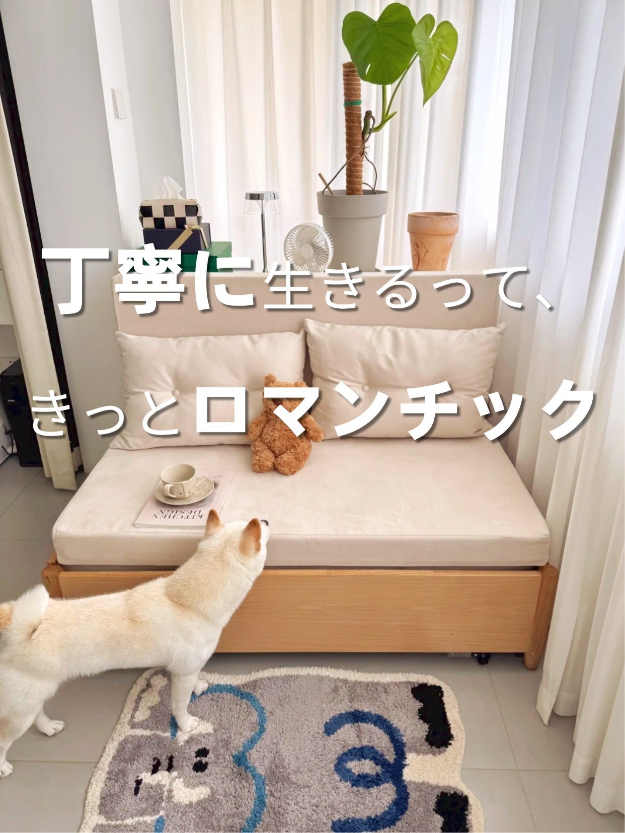 アネトス アクネケア トリートメント セラム/Anetos/美容液を使ったクチコミ(1枚目)