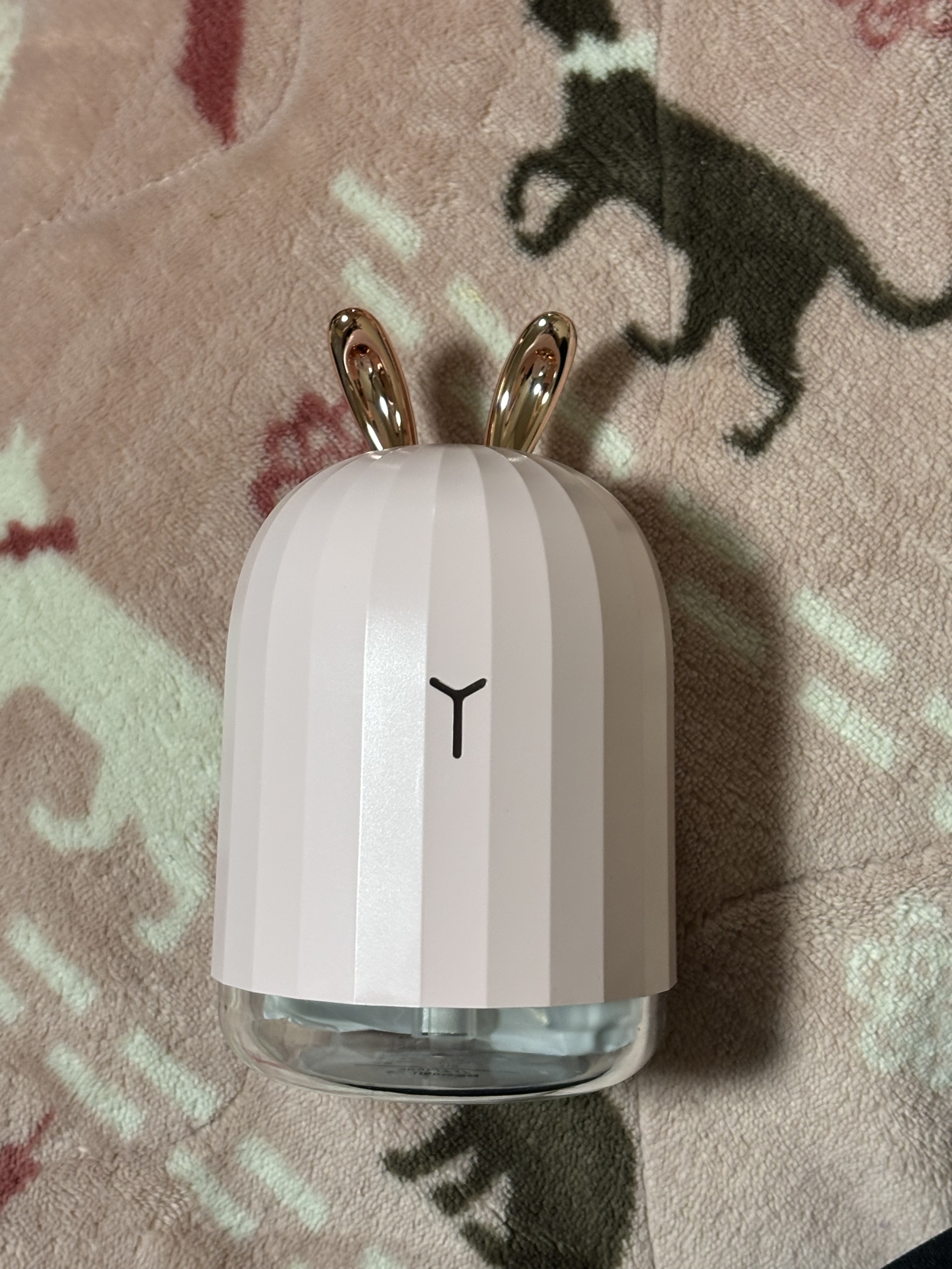 加湿器/フランフラン/その他を使ったクチコミ（2枚目）