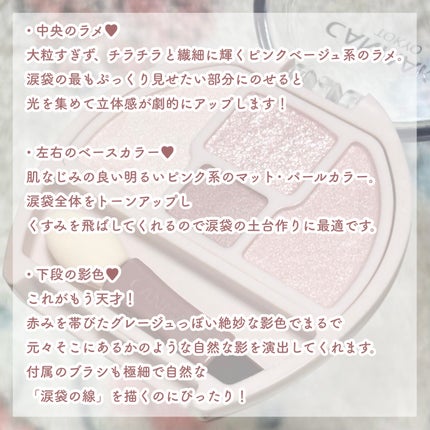 プランぷくコーデアイズNeo/キャンメイク/アイシャドウを使ったクチコミ(2枚目)