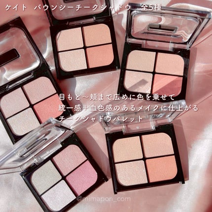 スーパーシャープライナーEX4.0/KATE/リキッドアイライナーを使ったクチコミ(2枚目)