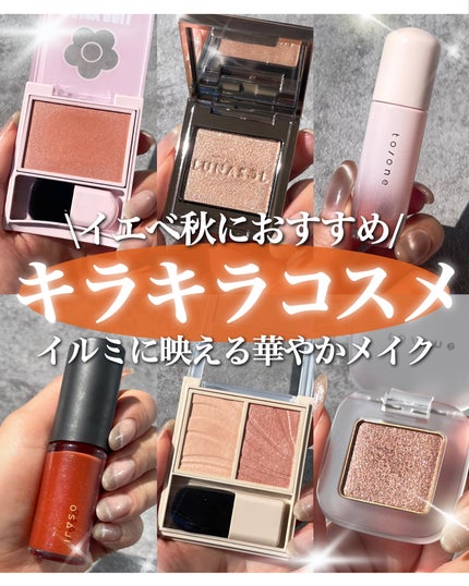 レイヤード フルリ チーク BR-8 ジャスミンブラウン/Visée/パウダーチークを使ったクチコミ(1枚目)