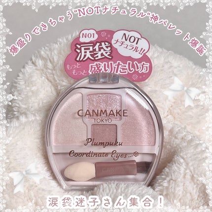 プランぷくコーデアイズNeo/キャンメイク/アイシャドウを使ったクチコミ(1枚目)