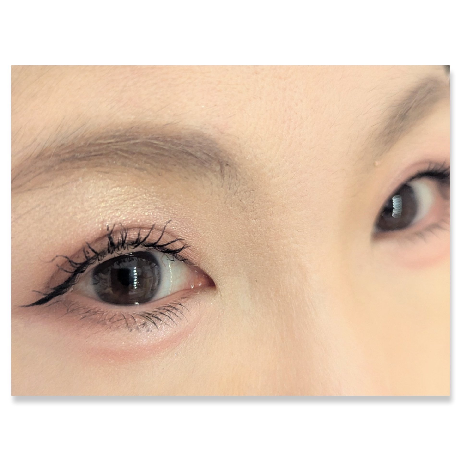 ティルナス  パールコア アイパレット/tilnus/アイシャドウパレットを使ったクチコミ（2枚目）