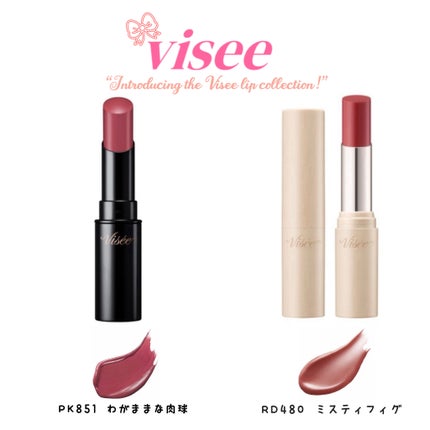 ネンマクフェイク ルージュ/Visée/口紅を使ったクチコミ(1枚目)