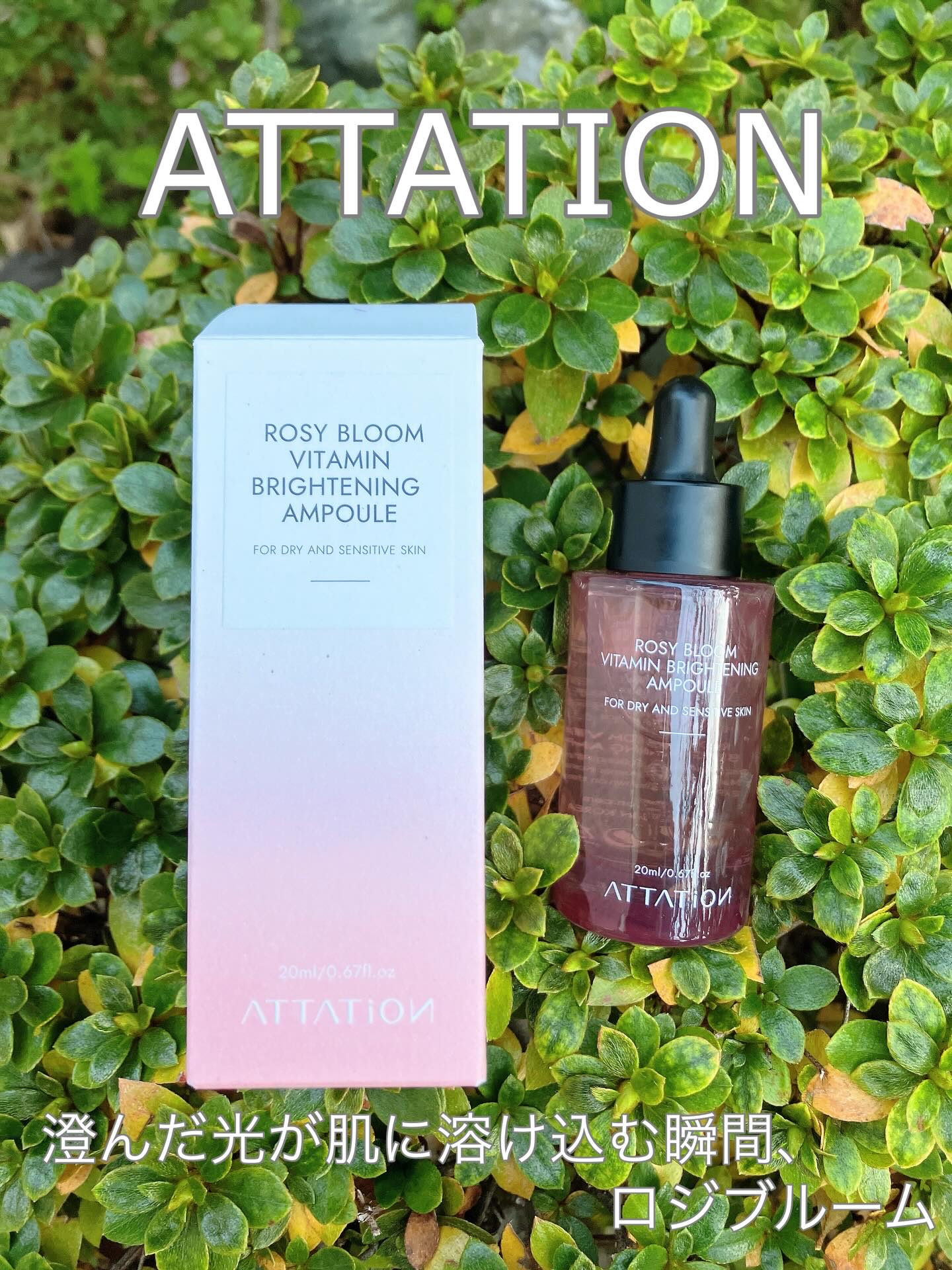 ロージーブルーム高濃縮ビタミン美容液/ATTATION/美容液を使ったクチコミ（1枚目）