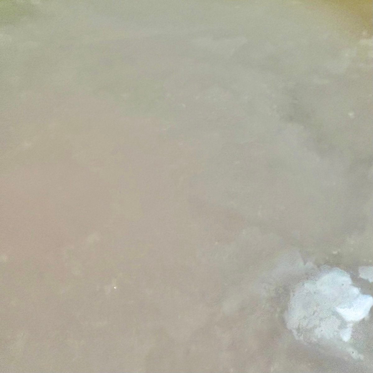 アンドハニー サクラ ビューティー スパ バスタブレット 6錠⼊り/&honey/炭酸系入浴剤を使ったクチコミ(4枚目)