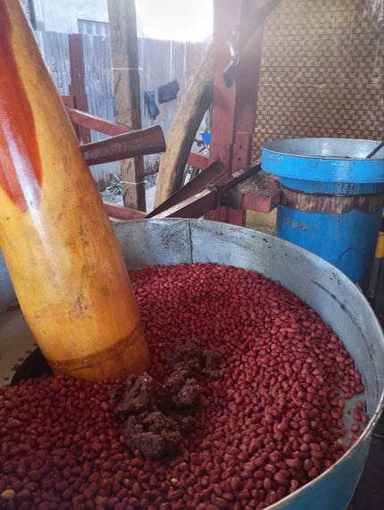 ã䜿ã£ãã¯ãã³ãïŒ3æç®ïŒ