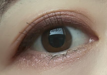 シャドーフラッシュ /MAJOLICA MAJORCA/アイシャドウパレットを使ったクチコミ(2枚目)