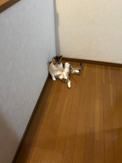 ブラーリング カラー ブラッシュ/SUQQU/パウダーチークを使ったクチコミ(3枚目)