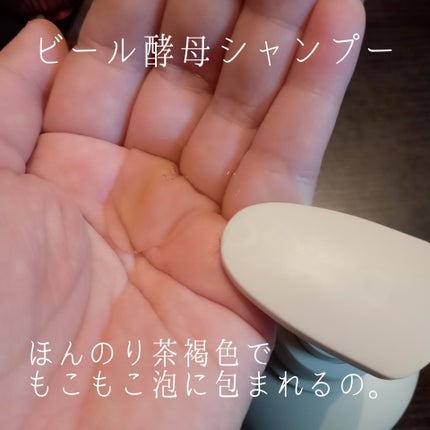 バイアウア ビール酵母シャンプー/トリートメント/by : OUR/アミノ酸シャンプーを使ったクチコミ(2枚目)