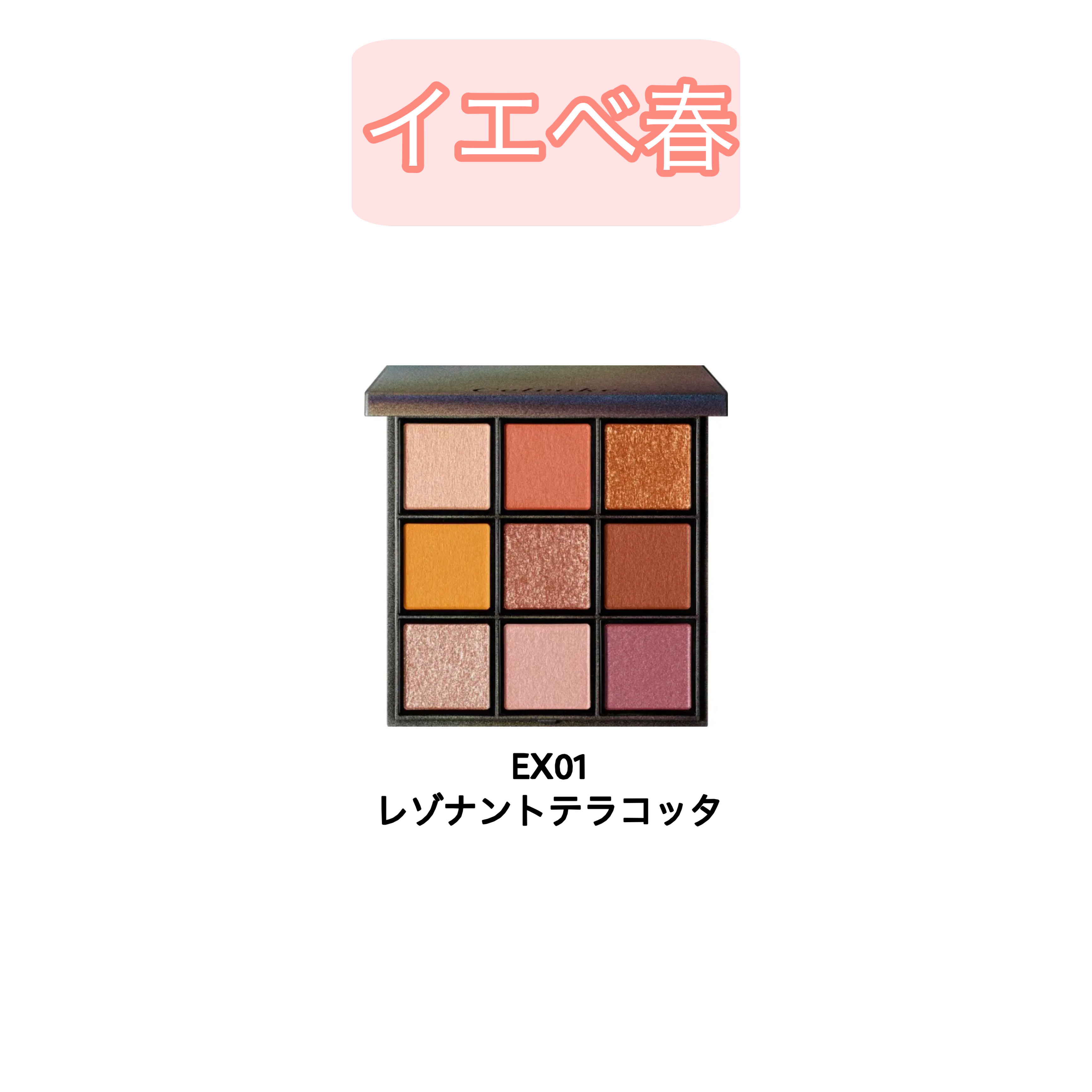 セルヴォーク エクスプレッシヴ アイズ EX04 Silent Reflection/Celvoke/アイシャドウパレットを使ったクチコミ（2枚目）