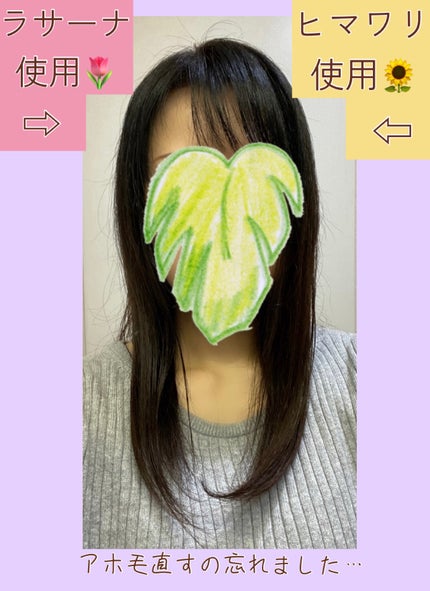 トリートメントリペアミルク/ディアボーテ/ヘアミルクを使ったクチコミ(3枚目)