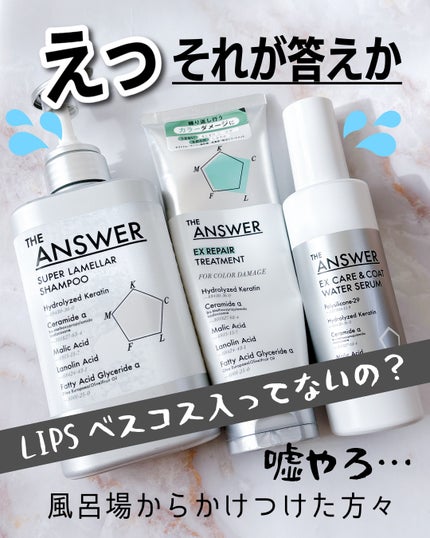 リーゼ アイロン下地 ストレート用/リーゼ/プレスタイリング・寝ぐせ直しを使ったクチコミ(1枚目)