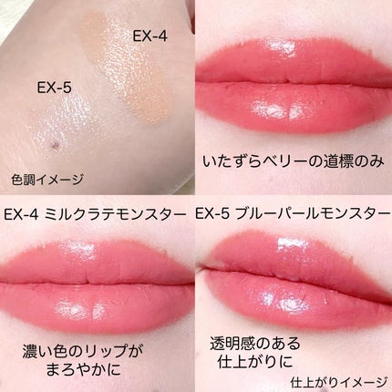 ケイト リップモンスター/KATE/口紅を使ったクチコミ(5枚目)