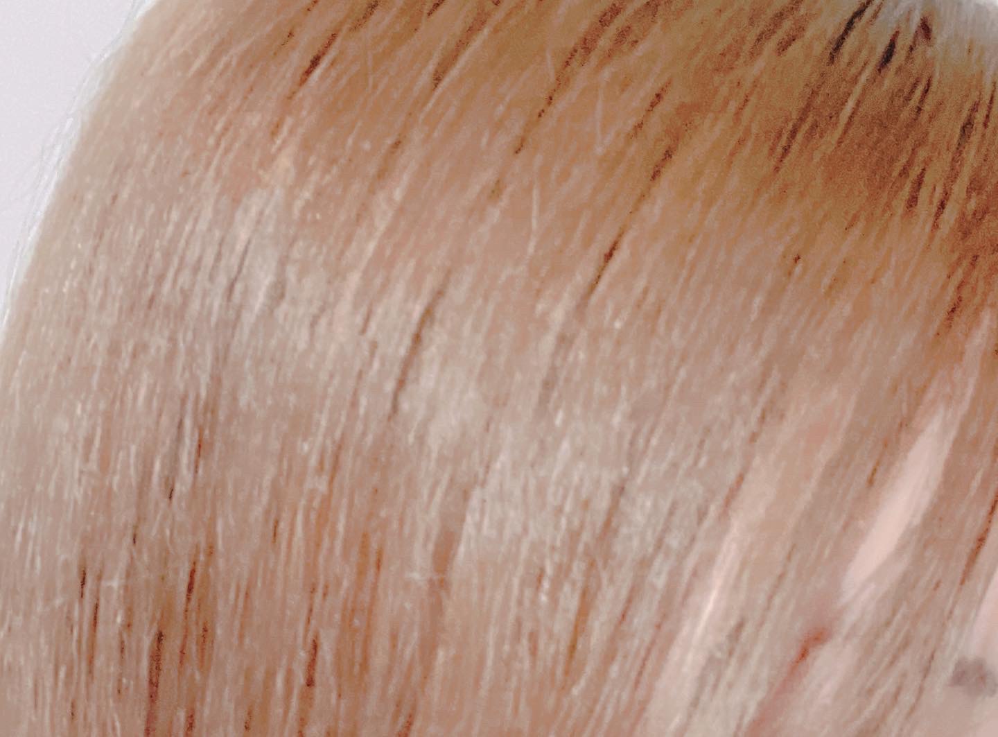 ワンダーシールド/サブリミック/アウトバストリートメントを使ったクチコミ（3枚目）