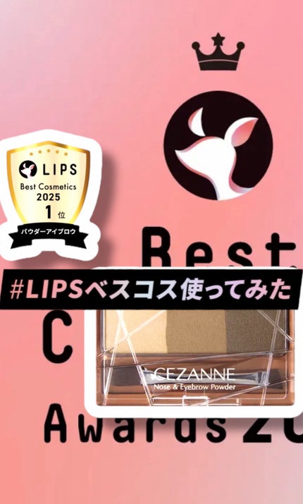 ノーズ&アイブロウパウダー/CEZANNE/パウダーアイブロウを使ったクチコミ(1枚目)