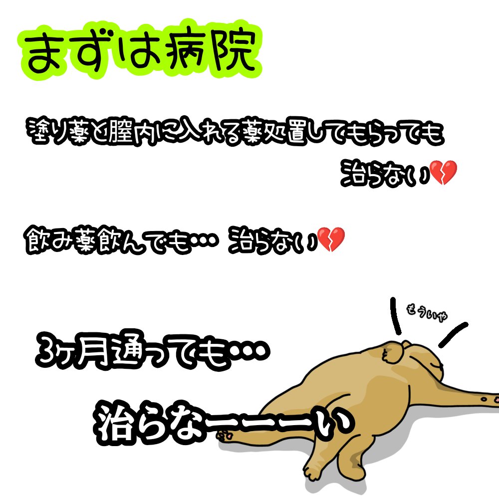 フェミニーナ軟膏S（医薬品）/フェミニーナ/その他を使ったクチコミ（3枚目）