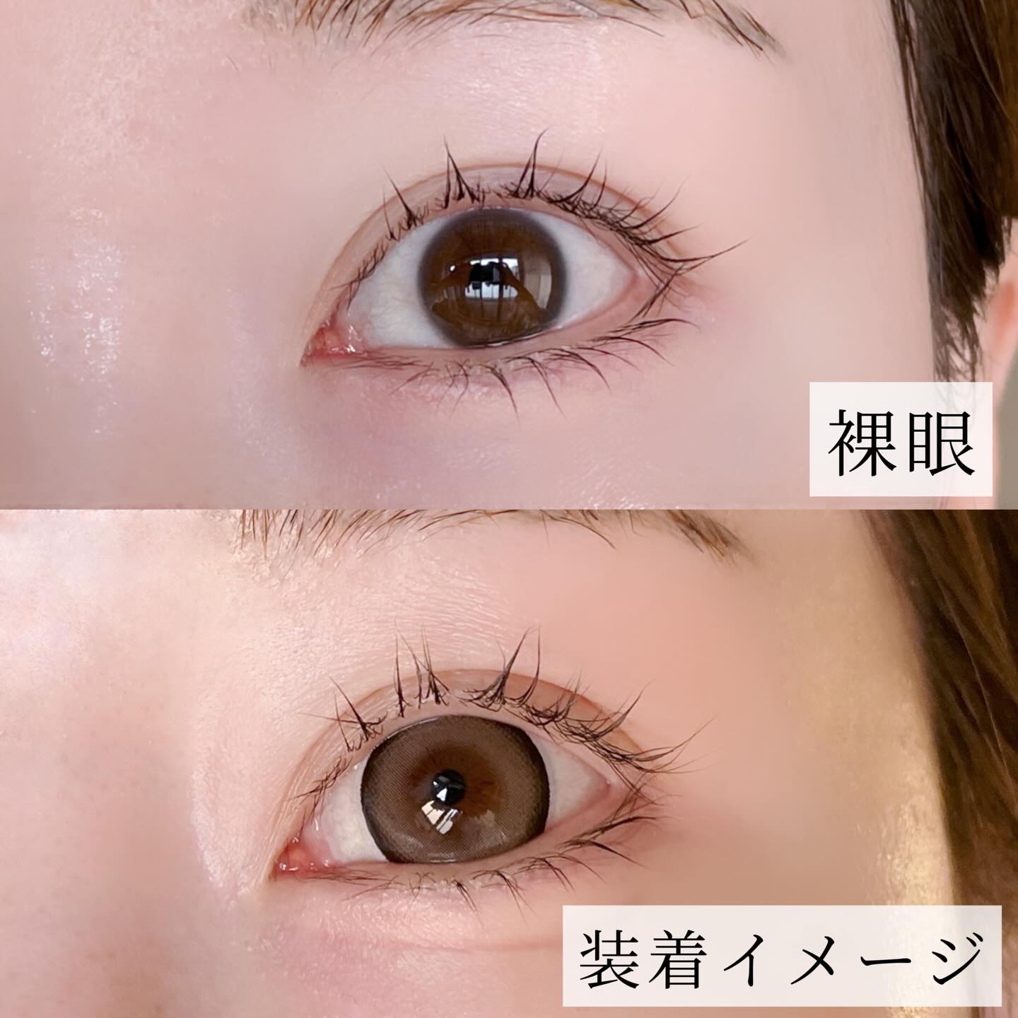 Dokkin Greige HOSO/FAIRY LABO/ワンデー（１DAY）カラコンを使ったクチコミ（3枚目）