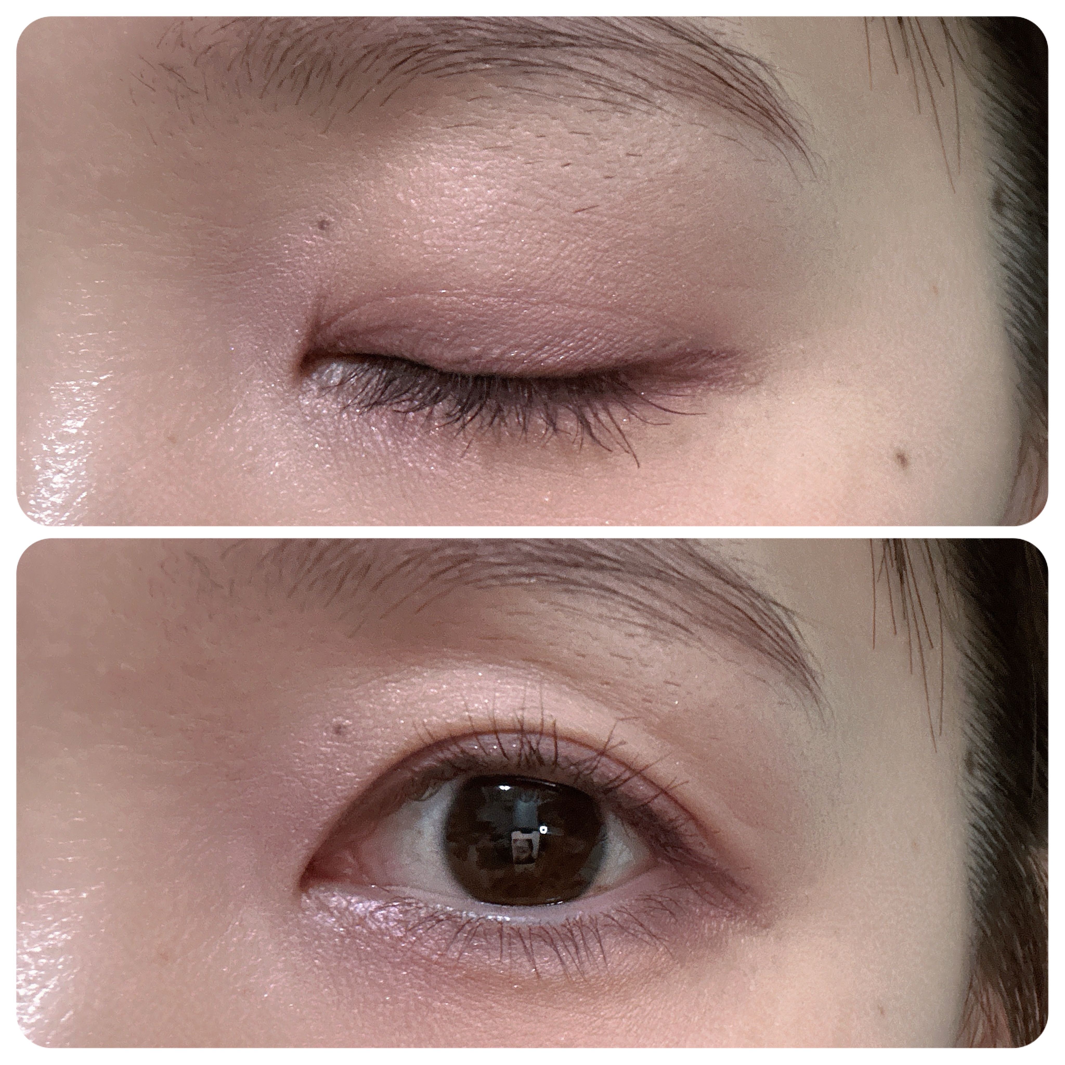 ラブクローバーパレット/2aN/アイシャドウパレットを使ったクチコミ（3枚目）