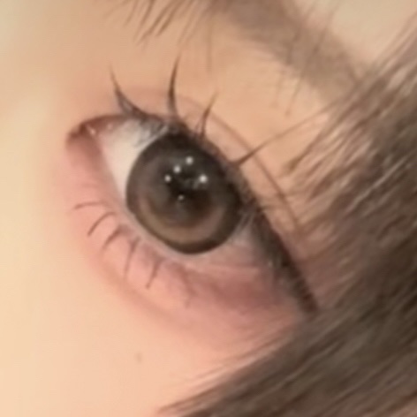 ディンティ　アイラッシュ/Dinty/つけまつげを使ったクチコミ（1枚目）