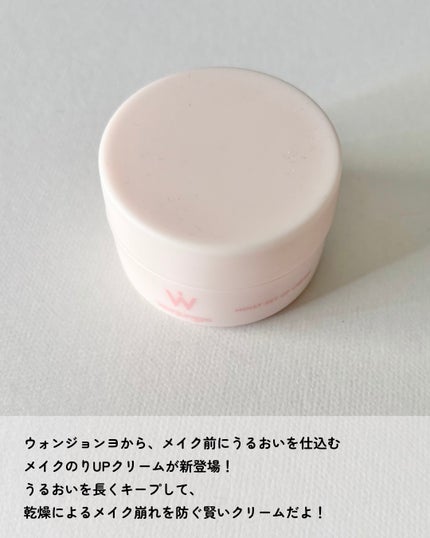 ウォンジョンヨ モイストセットアップクリーム/Wonjungyo/化粧下地を使ったクチコミ(2枚目)