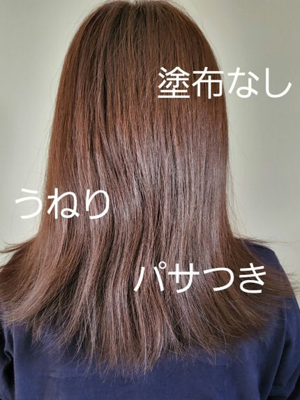 ワンダーシールド/サブリミック/アウトバストリートメントを使ったクチコミ(2枚目)