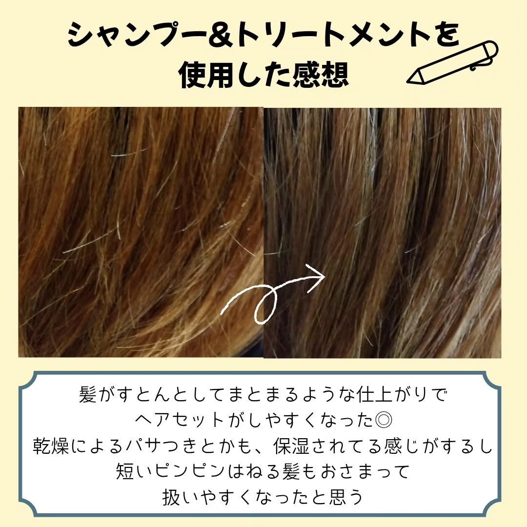 アンドペア コントロール モイスト 2in1 シャンプー&ヘアトリートメント/&PAIR/市販シャンプーを使ったクチコミ(4枚目)