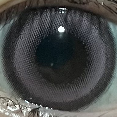 Quprie 1day アムールロゼ/Quprié by R/ワンデー（１DAY）カラコンを使ったクチコミ（1枚目）