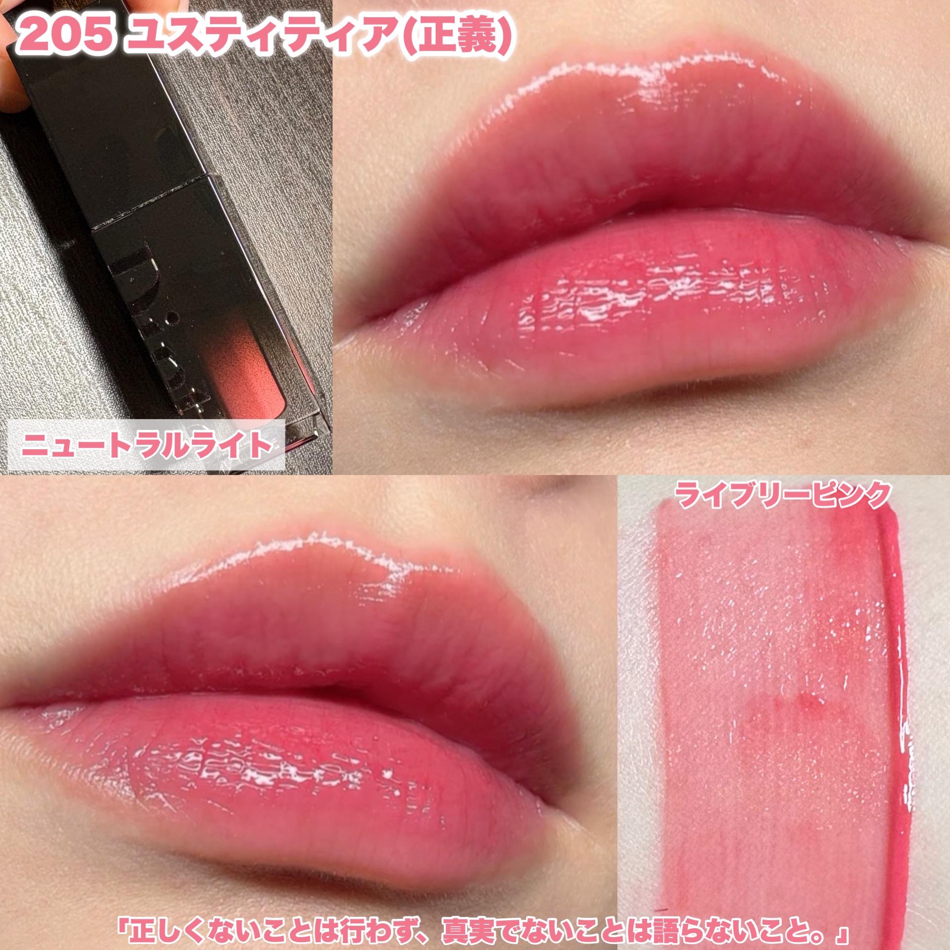 ブラーグロイリップティント 205 ユスティティア/Dinto/リップティントを使ったクチコミ（3枚目）