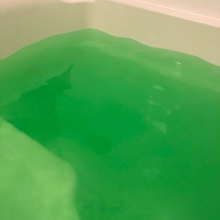 アビアントK/関西酵素/入浴剤を使ったクチコミ(4枚目)