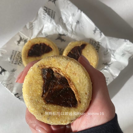 ラッシュ モンタルバーノ のクチコミ「#コスメ購入品
#LUSH
モンタルバーノ
最愛シャンプーと言っても過言ではないほどお気に.....」(1枚目)