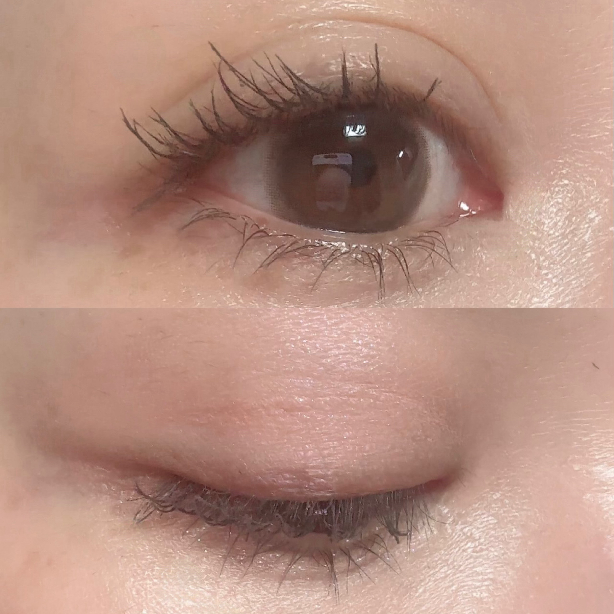 ハイパーリフトマスカラ/D-UP/マスカラを使ったクチコミ（3枚目）
