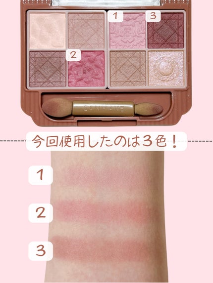 プティパレットアイズ(マットタイプ)/キャンメイク/パウダーアイシャドウを使ったクチコミ(4枚目)