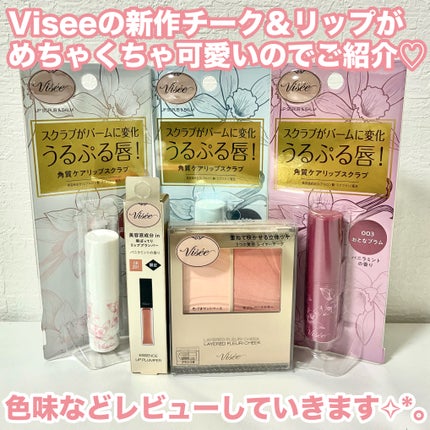 エッセンス リッププランパー/Visée/リッププランパーを使ったクチコミ(2枚目)